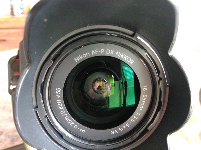 Nikon D5600
