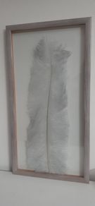Real feather wall decor