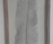 Real feather wall decor