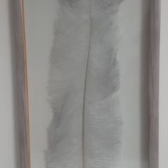 Real feather wall decor