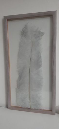 Real feather wall decor