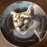 A pair of wild cat  8 inch decorative plates Image 2