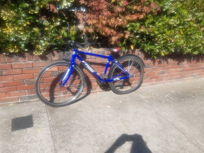 Frog 73 kids bike
