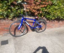 Frog 73 kids bike