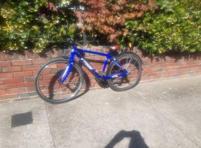 Frog 73 kids bike