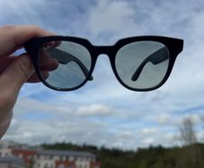 rayban
