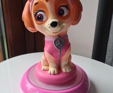 Paw Patrol & Skye Bundle