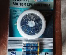 LED motion sensor light