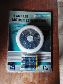 LED motion sensor light