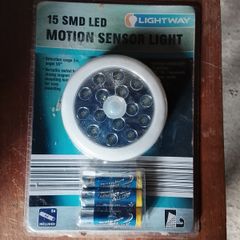 LED motion sensor light