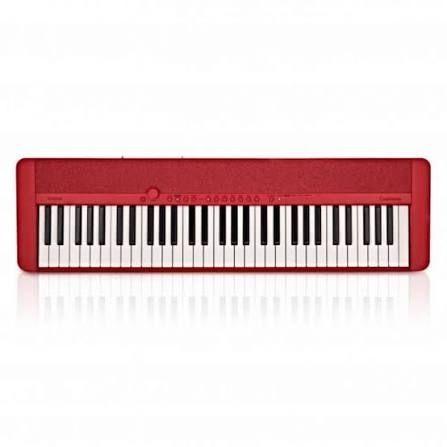 Casio CT-S1 keyboard.