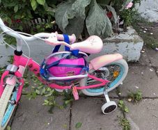 Lol Bike