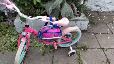 Lol Bike
