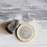 Meteorite Sikhote-Alin iron 11.30g Image 2