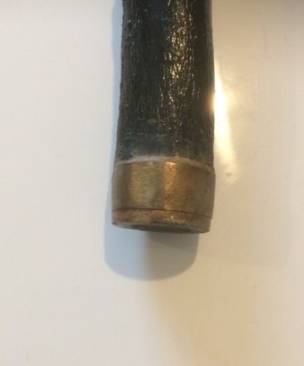 Antique Cane