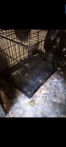 dog cage