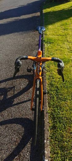 Giant TCR