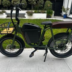 Electric Bike (Radrunner)