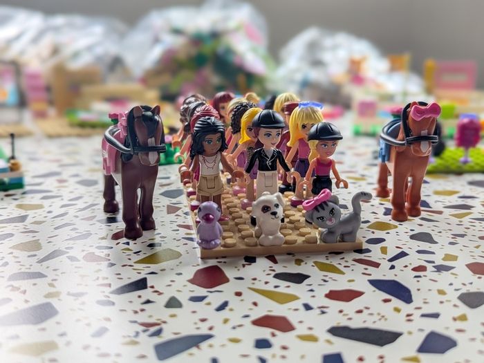 Lego Friends Job Lot Bundle Bulk