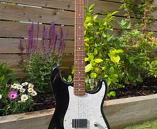 Squier Standard Series Stratocaster