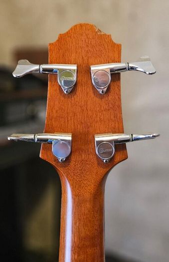 acoustic bass