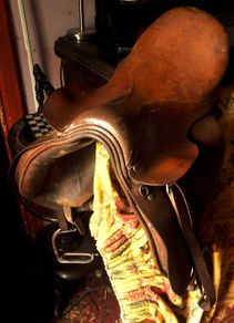 Leather saddle