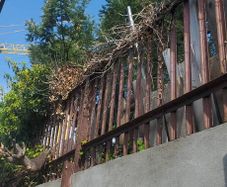 Fencing for garden