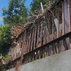 Fencing for garden