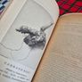 Injurious insects by Ormerod 16th report original Antique book Image 9