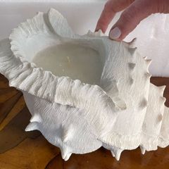 Shell candle