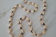 Vintage cowrie shell necklace