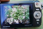 Olympus Tough TG-820  LCD 12.0MP Waterproof Built-in Flash Digital Camera charging cable and case