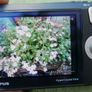 Olympus Tough TG-820  LCD 12.0MP Waterproof Built-in Flash Digital Camera charging cable and case Image 5