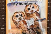 Paint by number art set