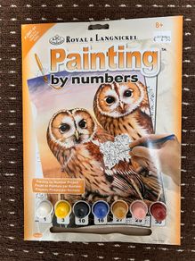 Paint by number art set