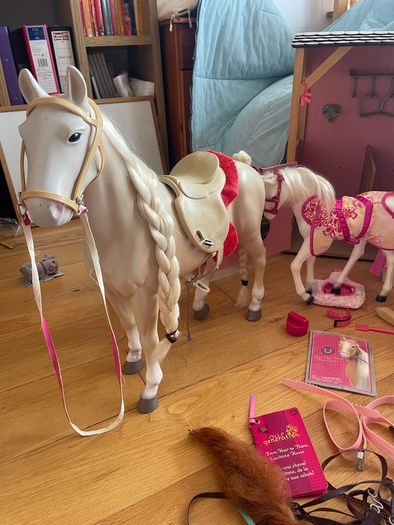 our generation stables 2 hoses and 1 foal