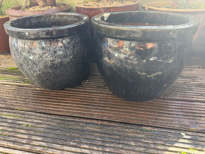 Plant pot