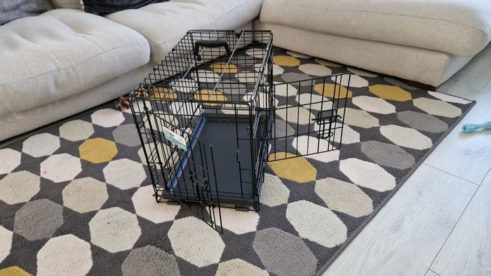 Dog crate, double door, 22 inch