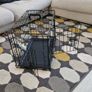 Dog crate, double door, 22 inch Image 2