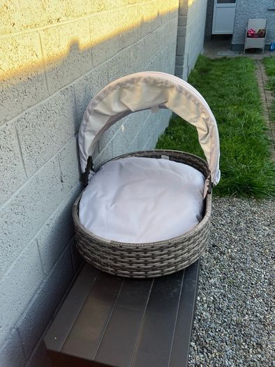 dog bed