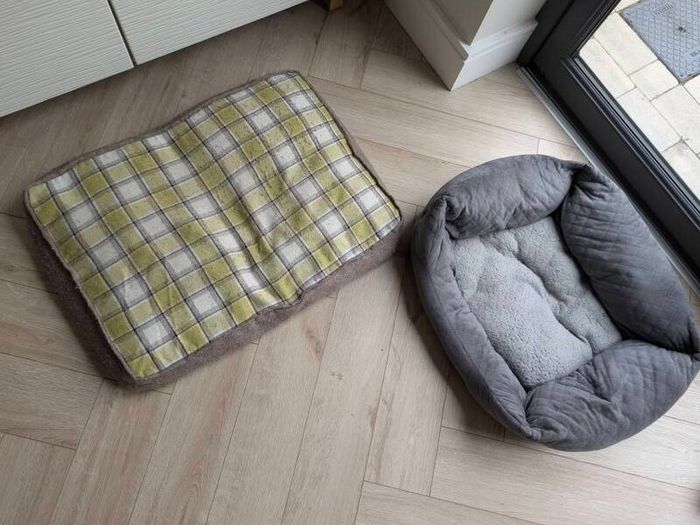 Dog beds