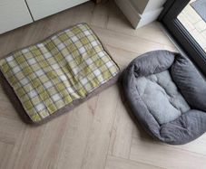 Dog beds
