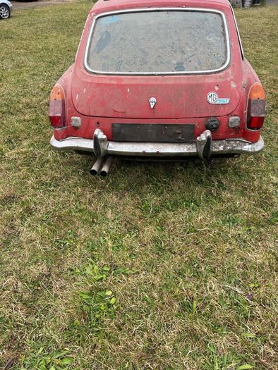 Mg Bgt
