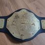 Big Gold World Heavyweight Wrestling Championship Replica Kids Image 6