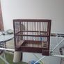 bird finch canary hopper cage I gave my birds away Image 4