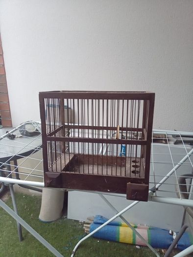 bird finch canary hopper cage I gave my birds away