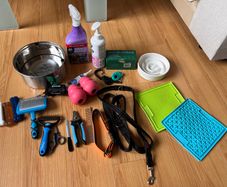 Large Puppy Starter Kit