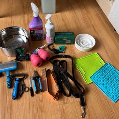 Large Puppy Starter Kit
