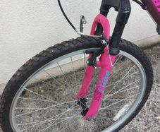 Brand new bike, perfect condition but brakes will need to be fixed