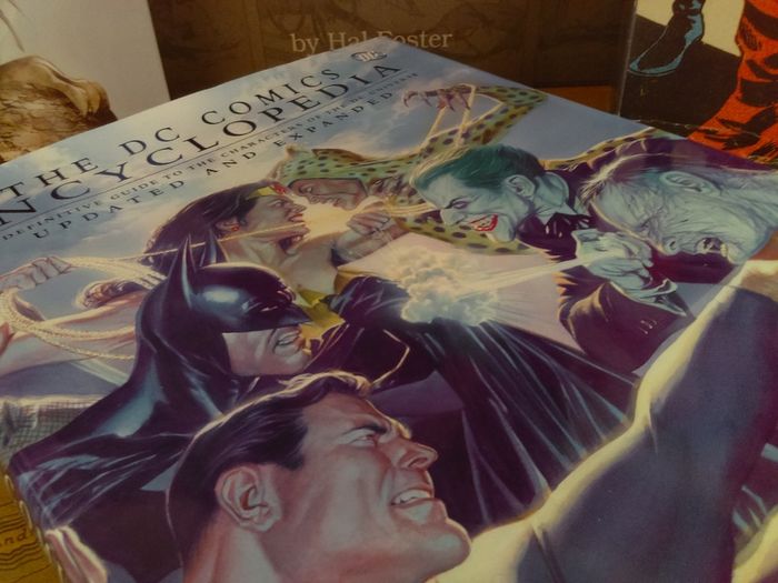 The DC Comics Encyclopedia ! The Definitive Guide To The Characters Of The DC Universe ! Beautiful Hardback !